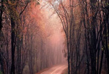 壹号娱乐：尼科的内裤都露了！亚马尔故意拉低球裤“吊儿郎当”回击范德法特.