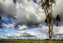 壹号娱乐:尼科的内裤都露了!亚马尔故意拉低球裤“吊儿郎当”回击范德法特.