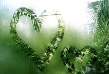 壹号娱乐：[德甲]第25轮：拜仁慕尼黑2-3波鸿 集锦.