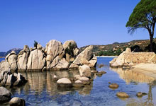 [NBA]巴恩斯22+12+6 猛龙战胜爵士.